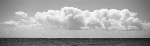 Framed Caribbean Sea Print