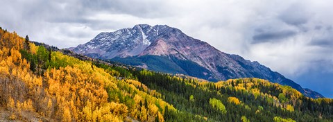 Framed Trees on mountains, San Juan National Forest, Colorado, USA Print