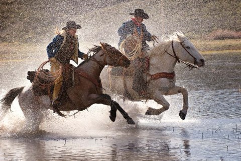 Framed Splash Dance Print