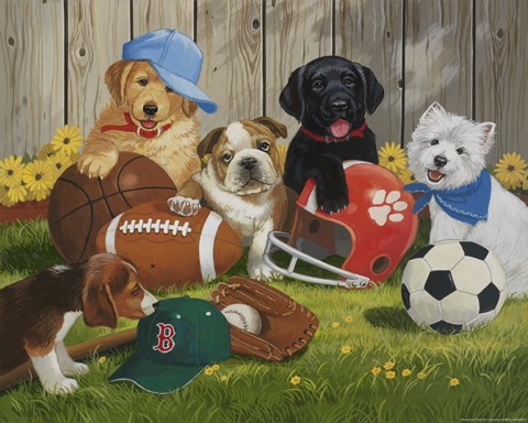 Framed Let's Play Ball Print