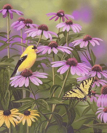 Framed Butterfly &amp; Finch Amongst Flowers Print