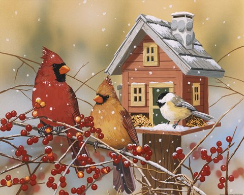 Framed Winter Birds Buffet Print