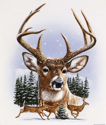 Framed Whitetail Deer Montage/ Winter Print