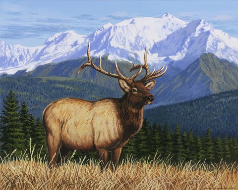 Framed Surveying His Domain Print