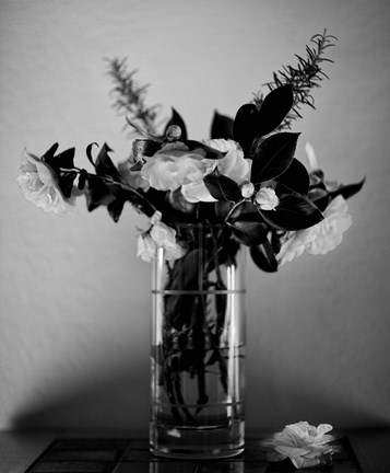 Framed Snow Day Print