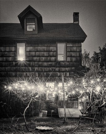 Framed Grape Vines Print