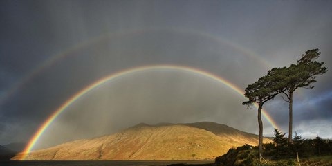 Framed Double Rainbow Print