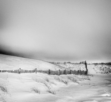 Framed Mock Turtle&#39;s Lament Monochrome Print