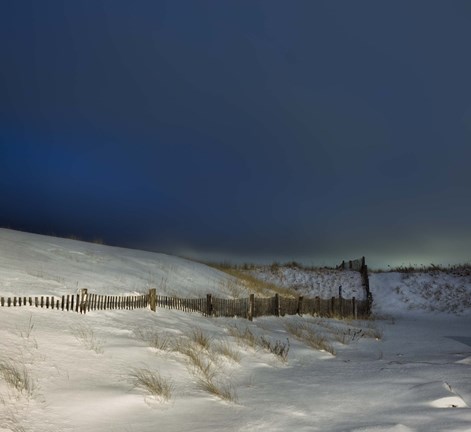 Framed Mock Turtle's Lament Print