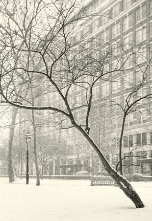 Framed Soft Parade Print