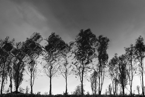 Framed Xochimilco Print