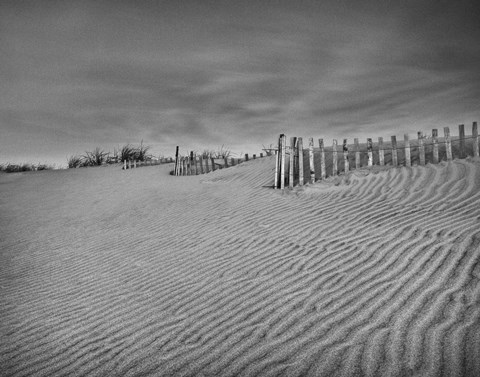 Framed Anglesea Moire II Print