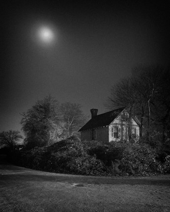 Framed Big Big Love II Print