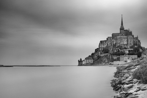 Framed Surrender Dorothy III Print