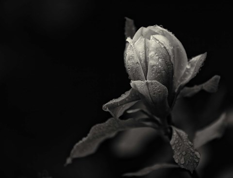 Framed Everything&#39;s Gonna Be Everything Print