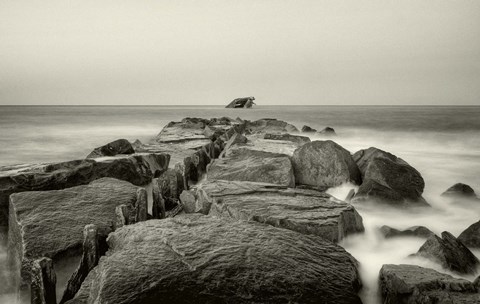 Framed Dentata Print
