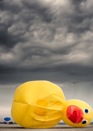 Framed Oh the Humanity Print