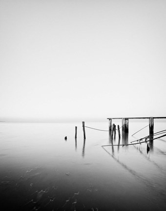 Framed Needle and Thread Print