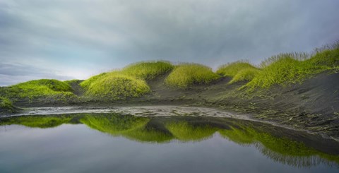 Framed Reflejo Verde 2 Print