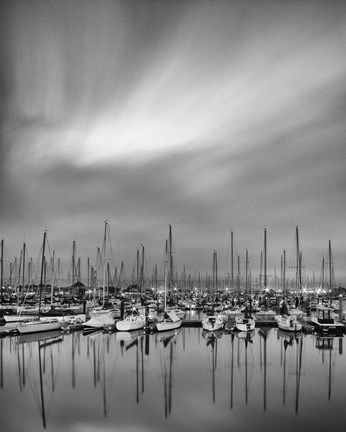 Framed Night Forest Print