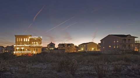 Framed Festivus Print