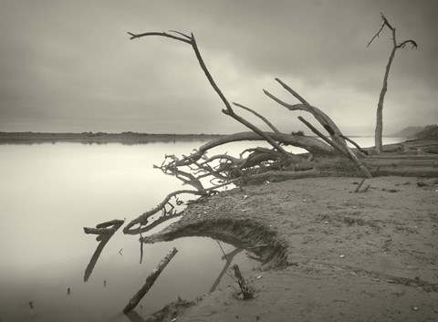 Framed End of History Print