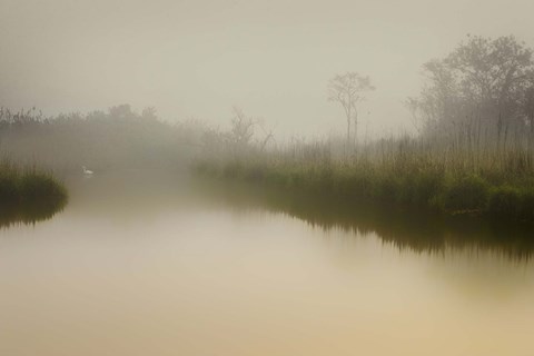 Framed South Meadows Print