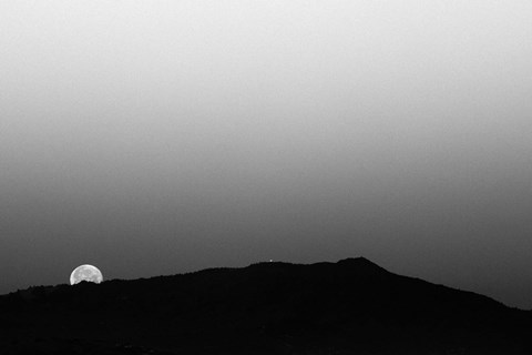 Framed Goodbye Sweet Appetite Print