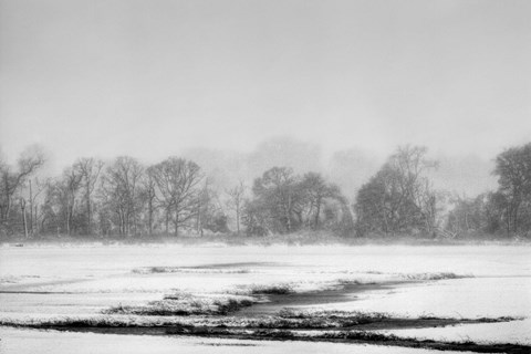 Framed Blizzard Print