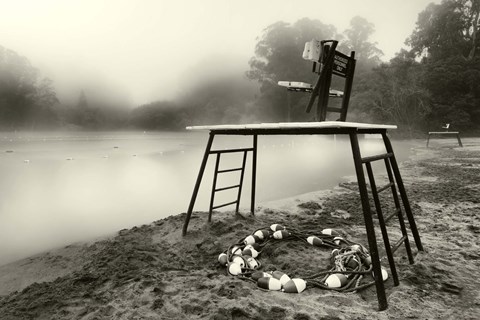 Framed Amygdala Station Print