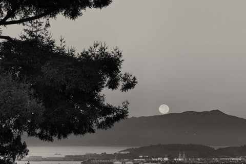 Framed That Is That Print