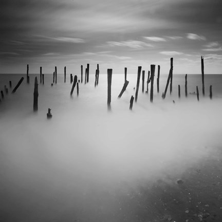 Framed Out of Kindness I Suppose Print