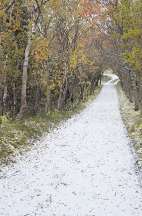 Framed Snow Way 1 Print