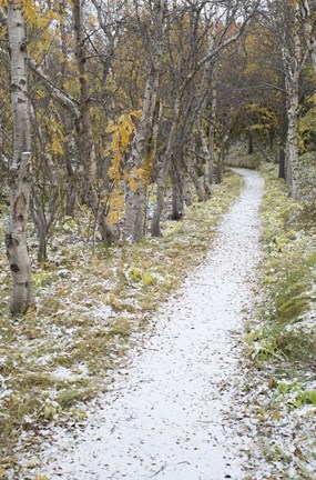Framed Snow Way 2 Print