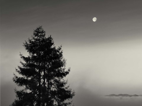 Framed First There is No Mountain Print