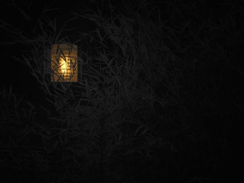 Framed In Country II Print