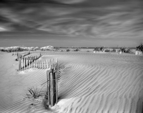 Framed Anglesea Moire I Print