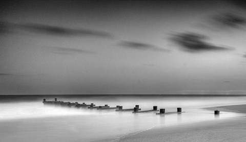 Framed Different Names for the Same Thing Print