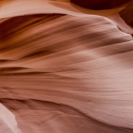 Framed Antelope Panorama 2 of 3 Print