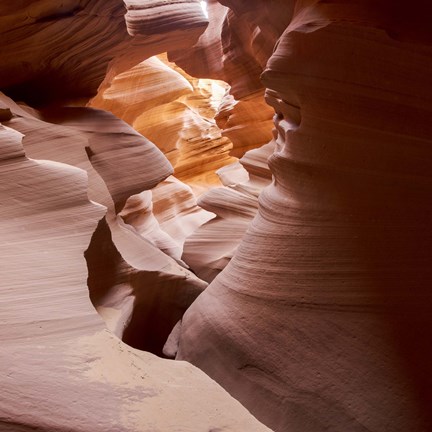 Framed Antelope Panorama 3 of 3 Print