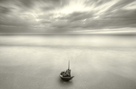 Framed Null Hypothesis Print