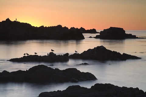 Framed Monterey 3-67 Print