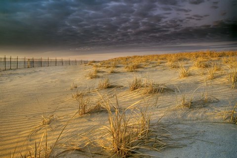Framed Poverty Beach Print