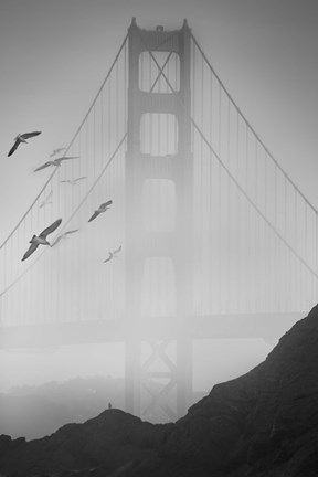Framed Golden Gate Pier and Birds II Print