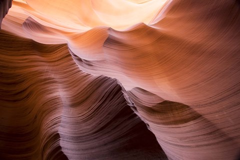 Framed Smooth II Print