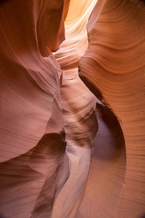 Framed Spiral I Print