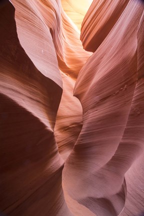 Framed Spiral II Print