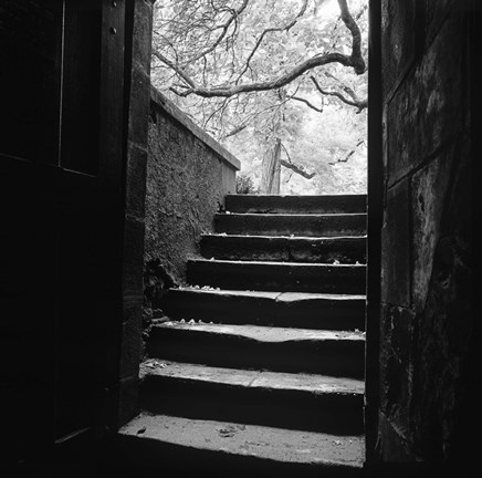Framed Chenonceaux Print
