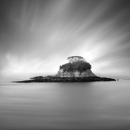 Framed Rat Island Print