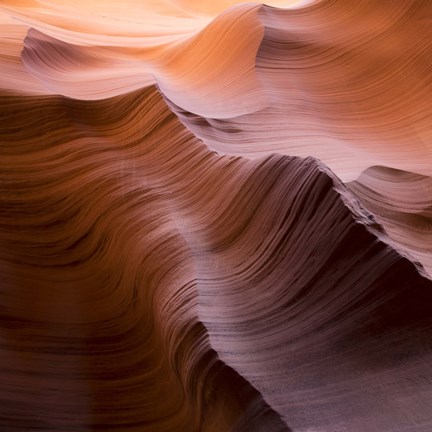 Framed Smooth I Print